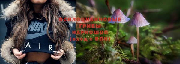 стафф Нея