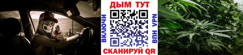 Бошки марихуана сатива закладка Красный Сулин